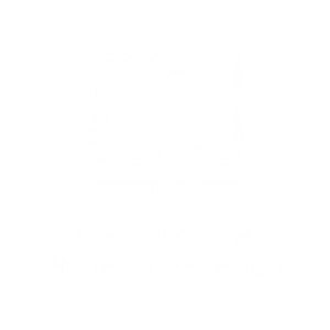 computer and phone forensics